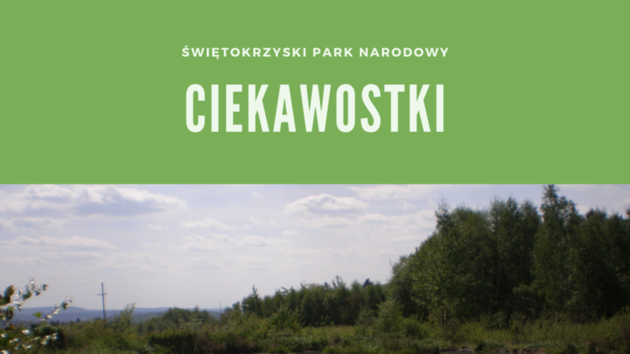 Ciekawostki